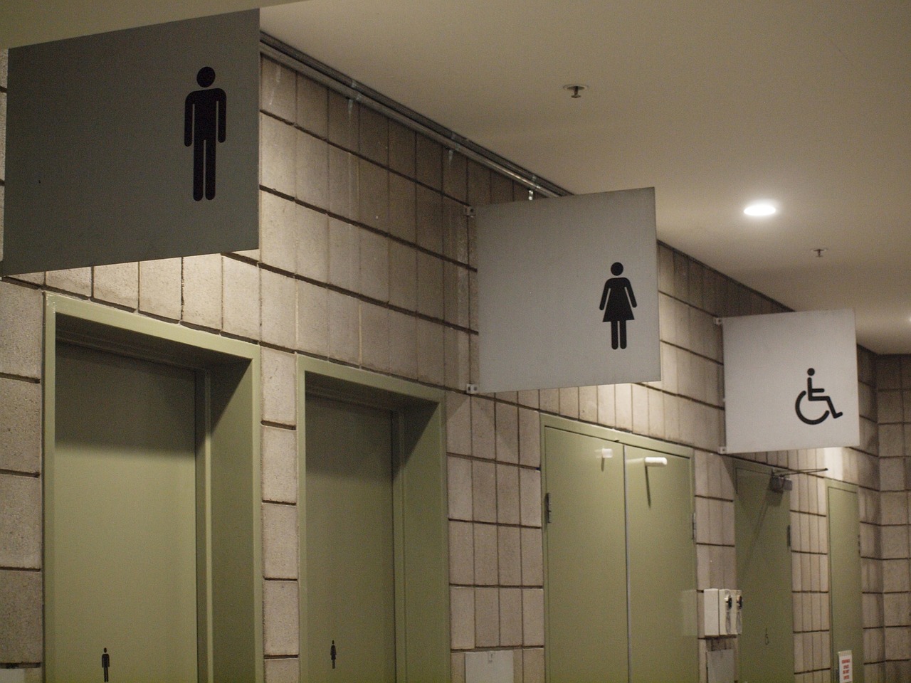 「性別要平權、女廁要增建！」記者會